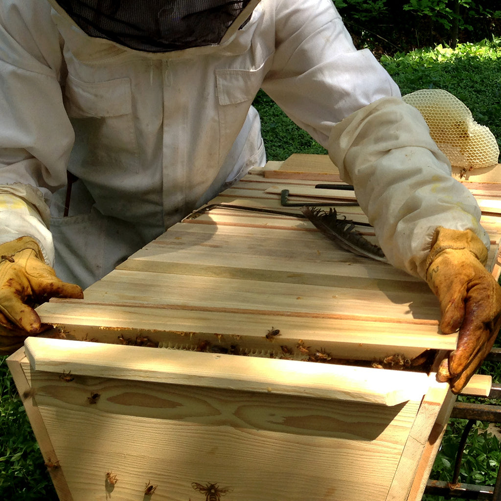 Top Bar Hive Tool BackYardHive