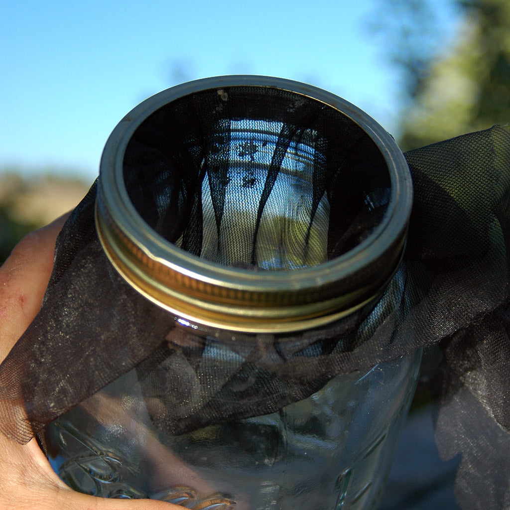 honey-harvest-crush-and-strain-ball-jar-mesh
