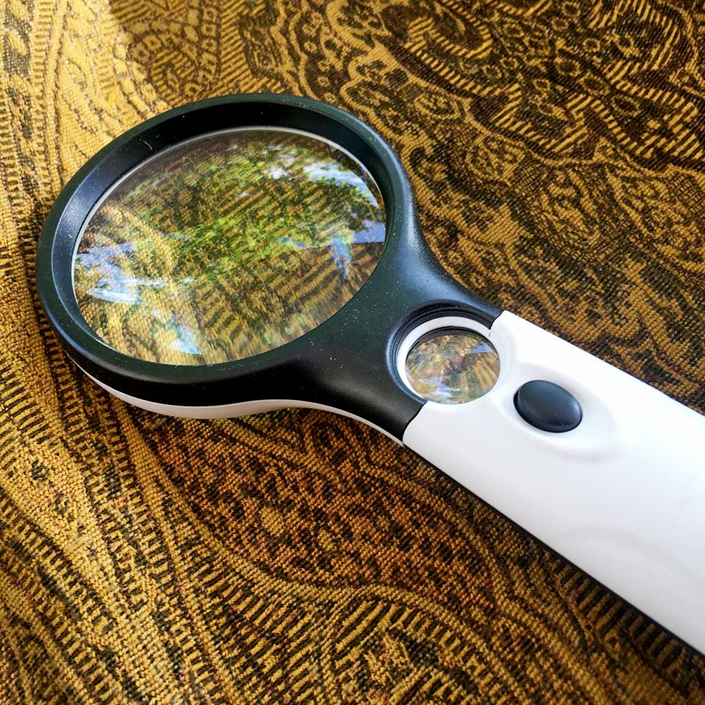 3x Magnifying Glass - Looking for eggs and larvae - BackYardHive