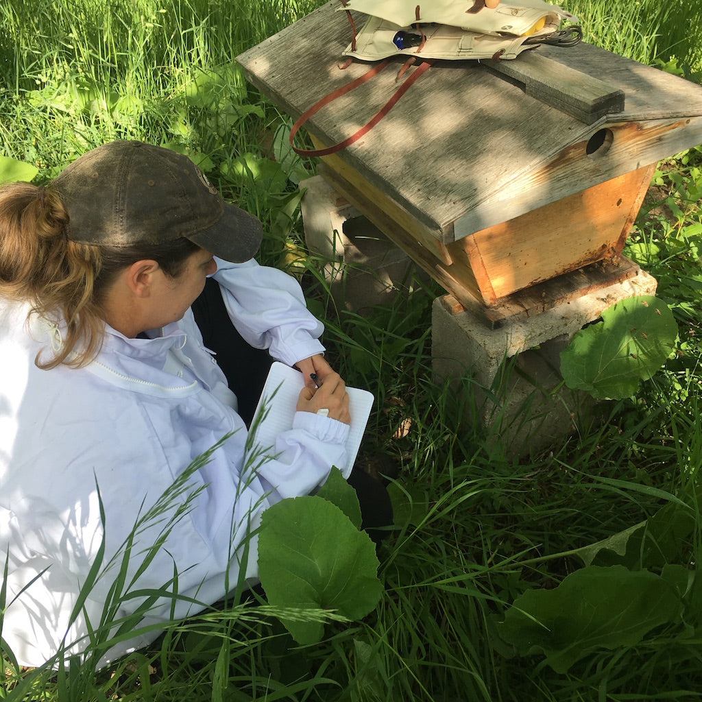 The Bee Guardian® Hive Tool Quiver