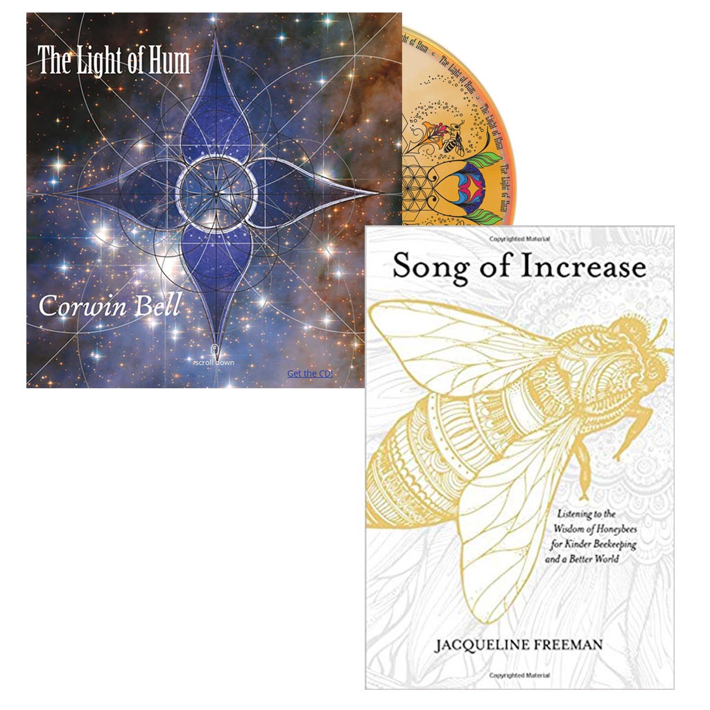 The Light of Hum Song of Increase combo